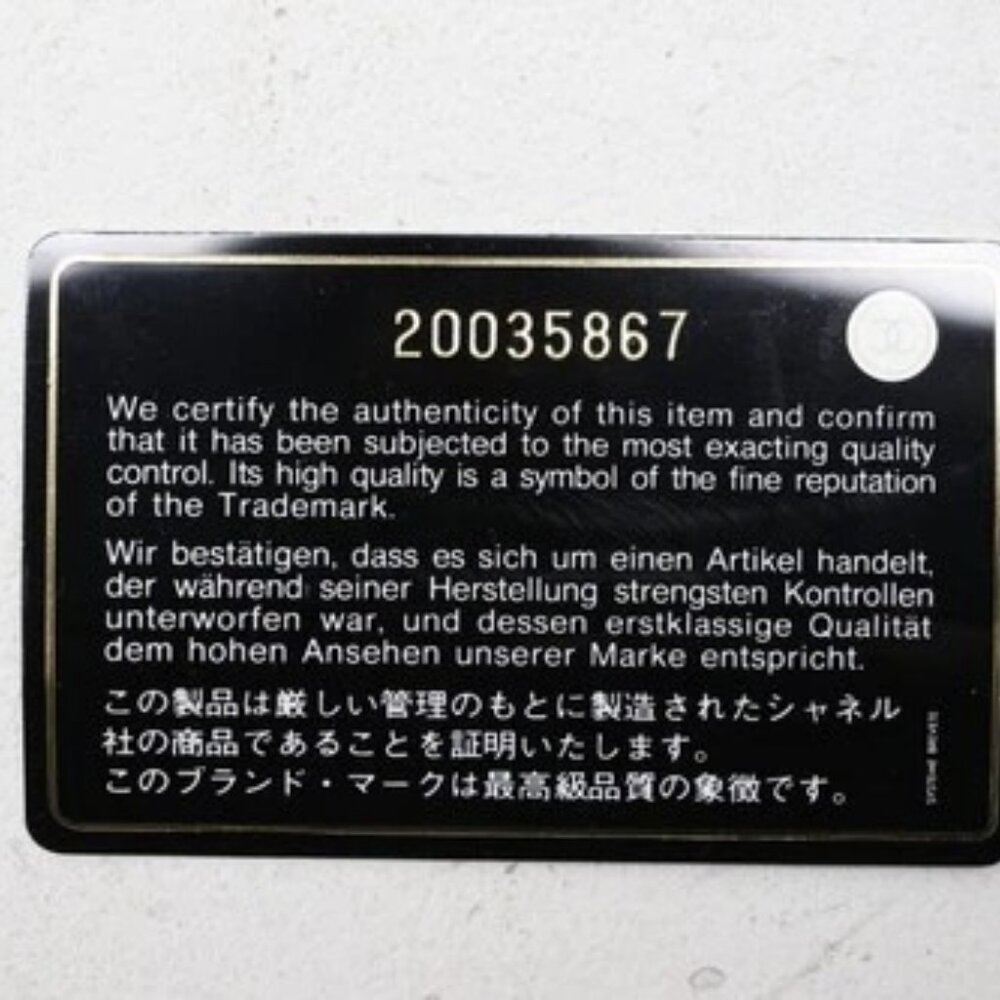 Chanel Python Classic Wallet On Chain - image 2